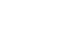restaurant chinois dans le centre ville de montpellier